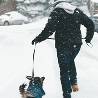 https://connect.bcbsok.com/cfs-file/__key/communityserver-blogs-components-weblogfiles/00-00-00-00-02/WinterWalkingDog.jpg