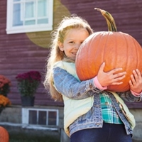 https://connect.bcbsok.com/cfs-file/__key/communityserver-blogs-components-weblogfiles/00-00-00-00-02/pumpkinBrandS36081.jpg